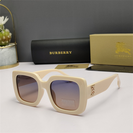 Burberry Sunglass AA 010